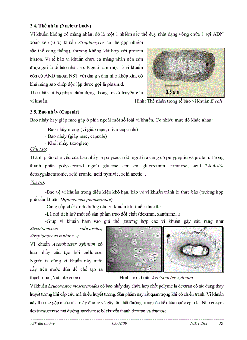 image for page Bài giảng môn học vi sinh vật đại cương