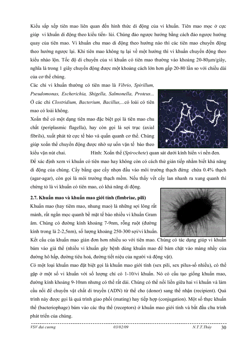 image for page Bài giảng môn học vi sinh vật đại cương