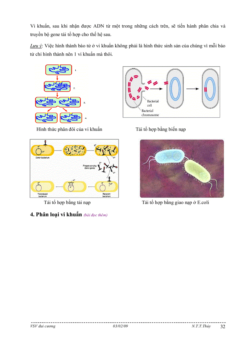 image for page Bài giảng môn học vi sinh vật đại cương