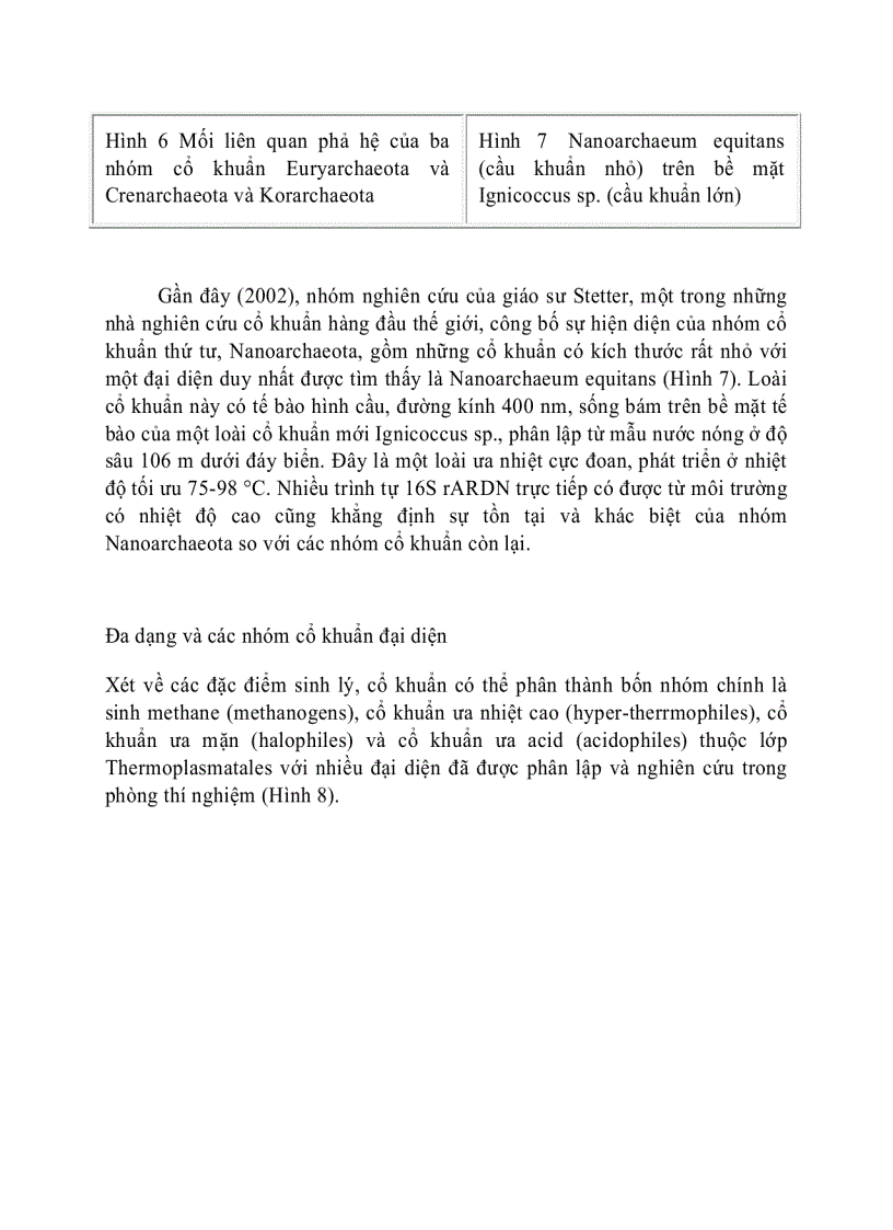 image for page Các nhóm vi khuẩn chủ yếu Cổ khuẩn Archaea