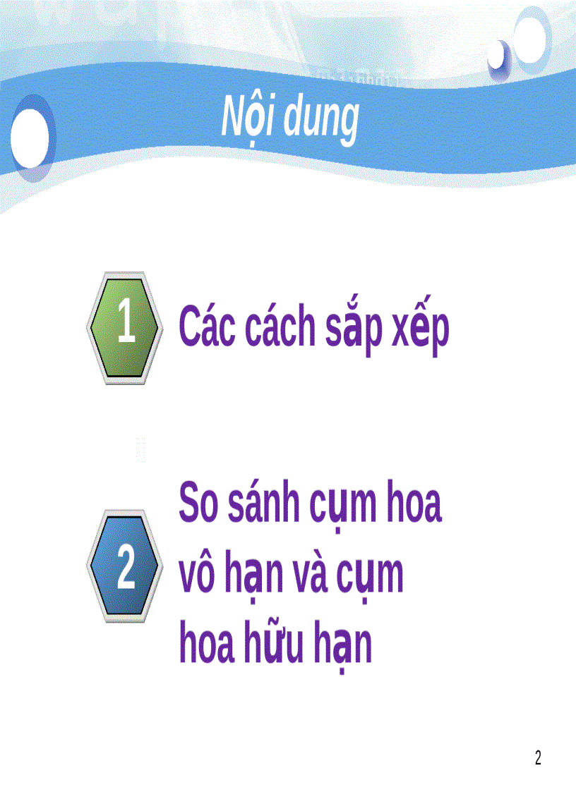 image for page Tiểu luận số 2 Cách sắp xếp hoa trên cành