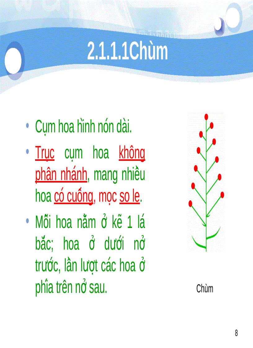 image for page Tiểu luận số 2 Cách sắp xếp hoa trên cành