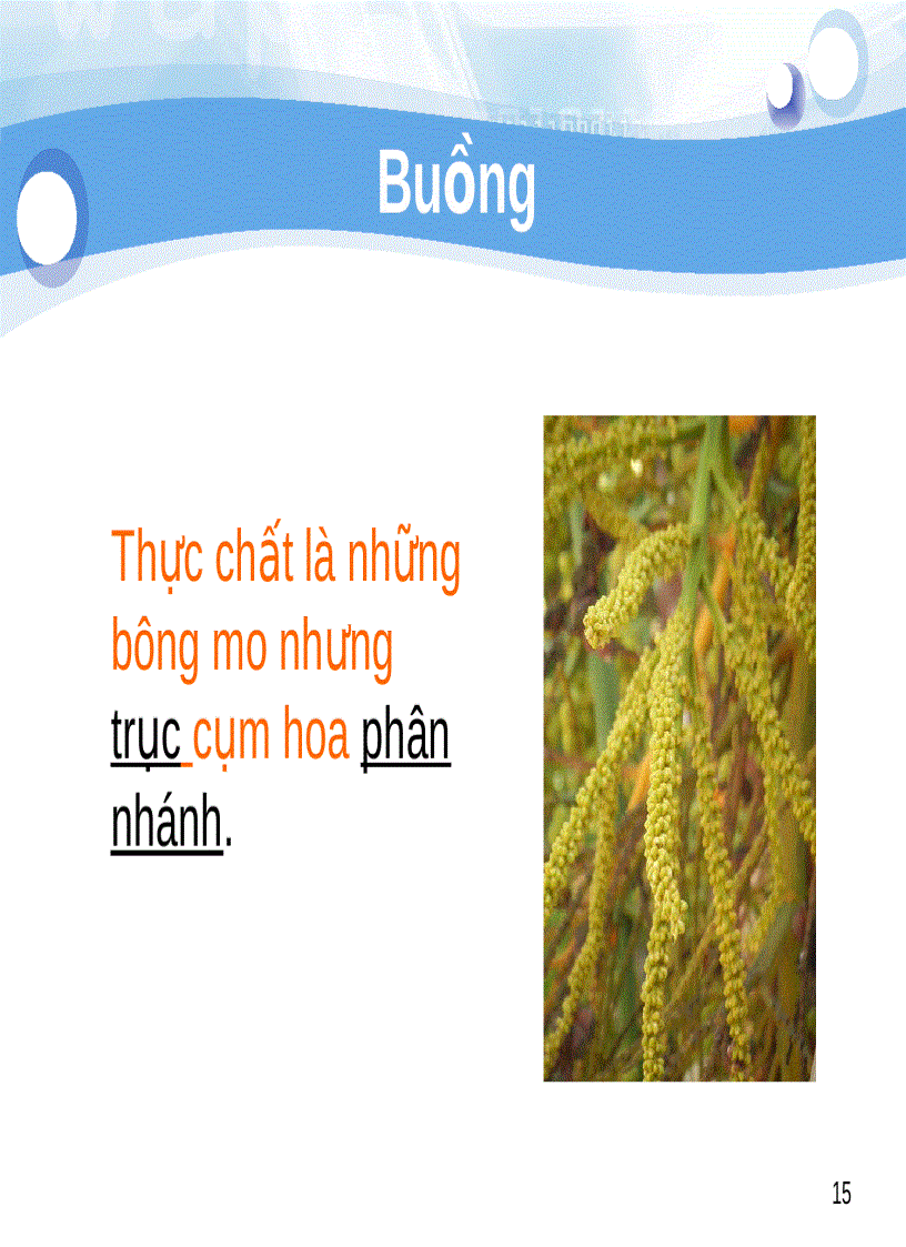 image for page Tiểu luận số 2 Cách sắp xếp hoa trên cành