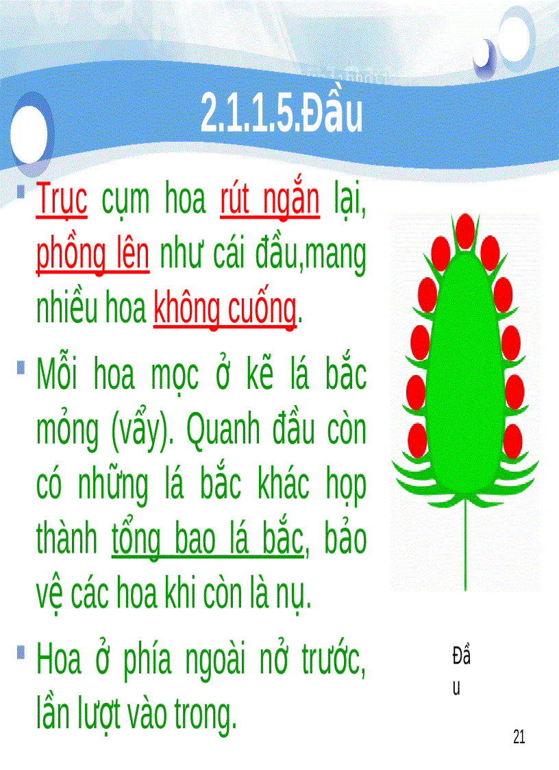 image for page Tiểu luận số 2 Cách sắp xếp hoa trên cành