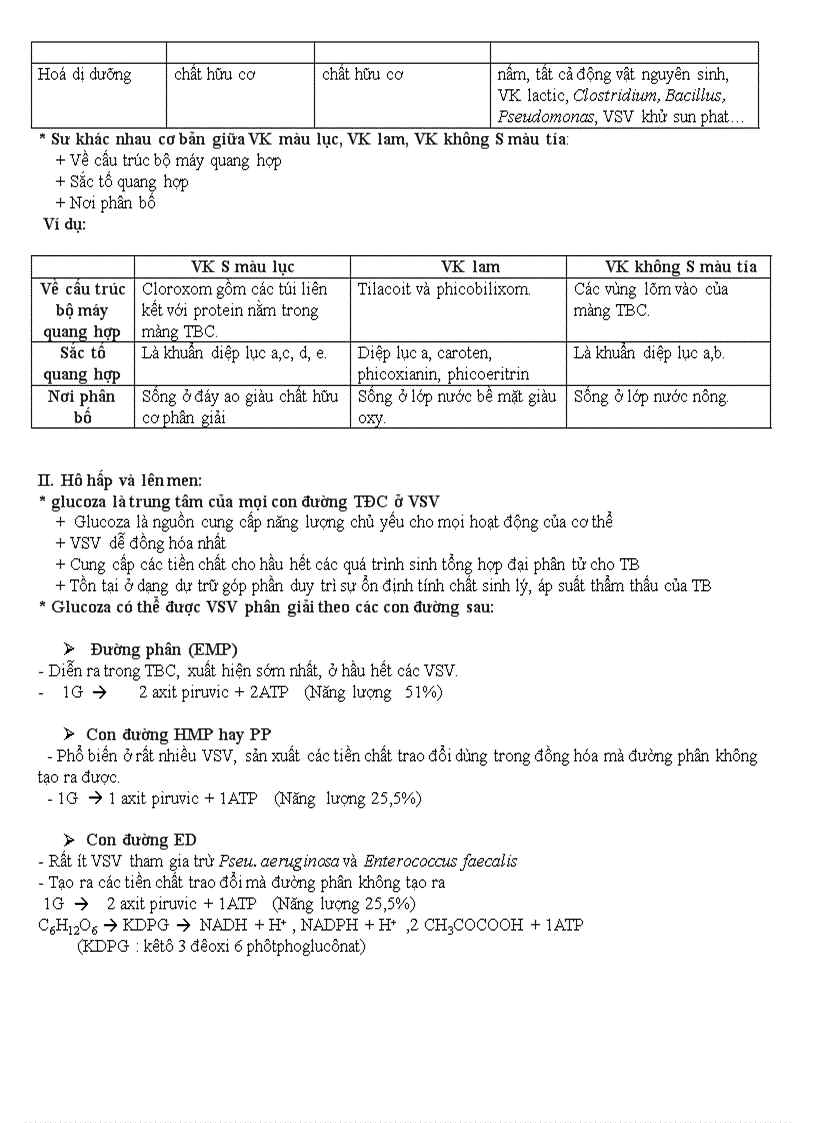 image for page Khái quát chung về vi sinh vật