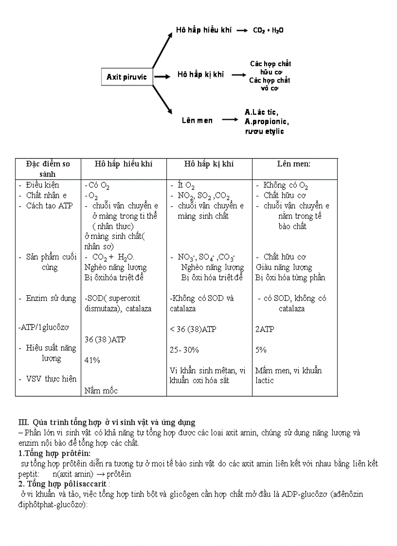 image for page Khái quát chung về vi sinh vật