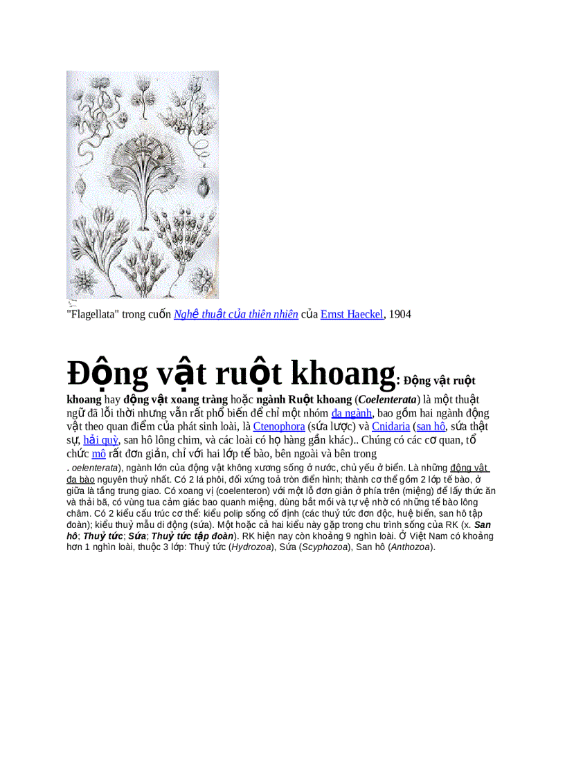 image for page Sự hình thành động vật Nguyên sinh