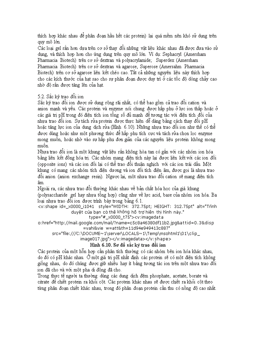 image for page Enzyme là chất xúc tác sinh học có thành phần cơ bản là protein