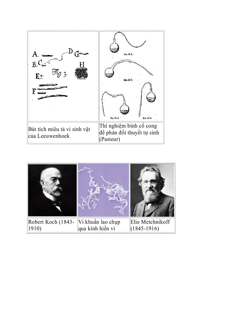 image for page Lược sử nghiên cứu Vi sinh vật học