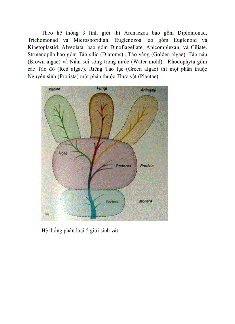 image for page Những đặc điểm chung của Vi Sinh Vật