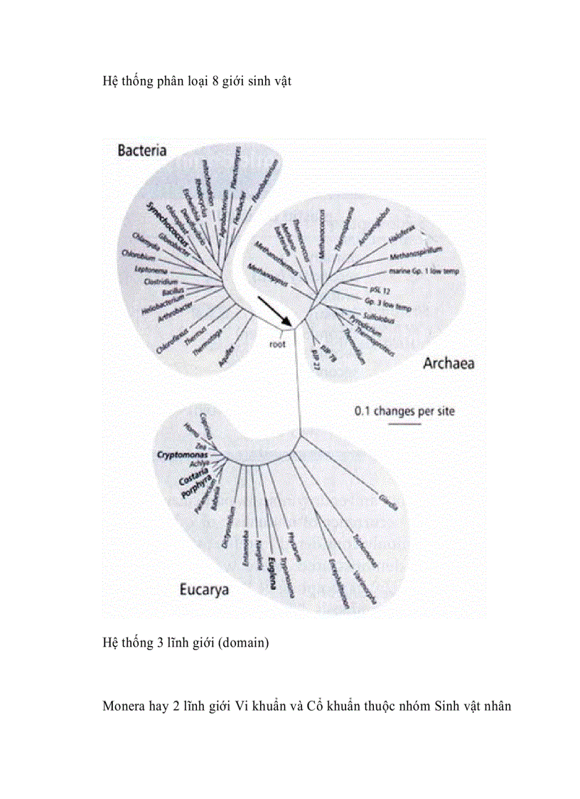 image for page Những đặc điểm chung của Vi Sinh Vật
