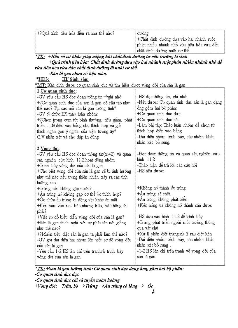 image for page Các ngành giun