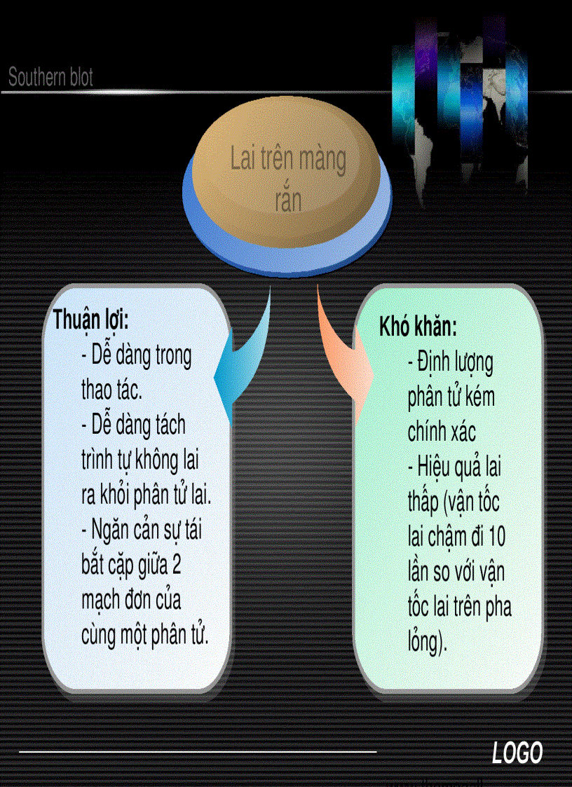 image for page Sinh học phân tử Southern blot