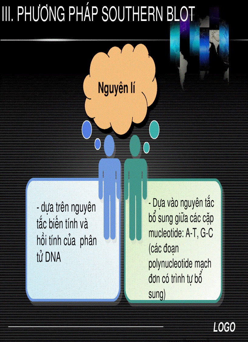 image for page Sinh học phân tử Southern blot