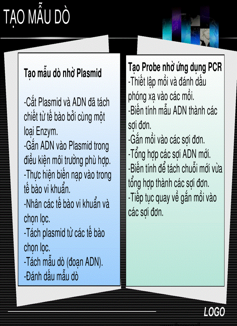 image for page Sinh học phân tử Southern blot