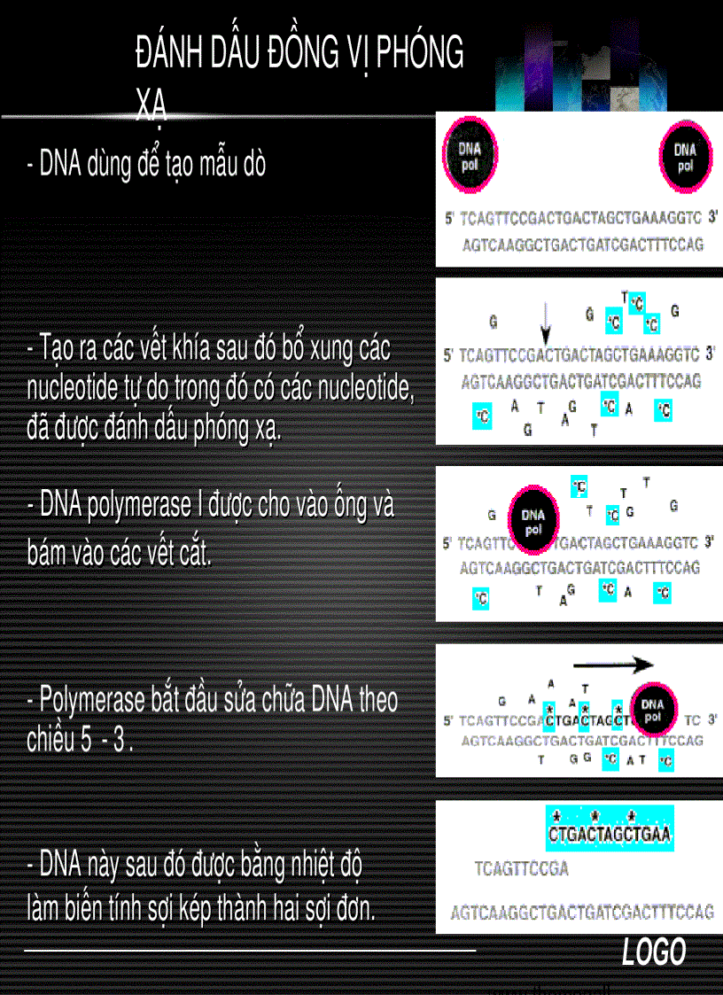 image for page Sinh học phân tử Southern blot