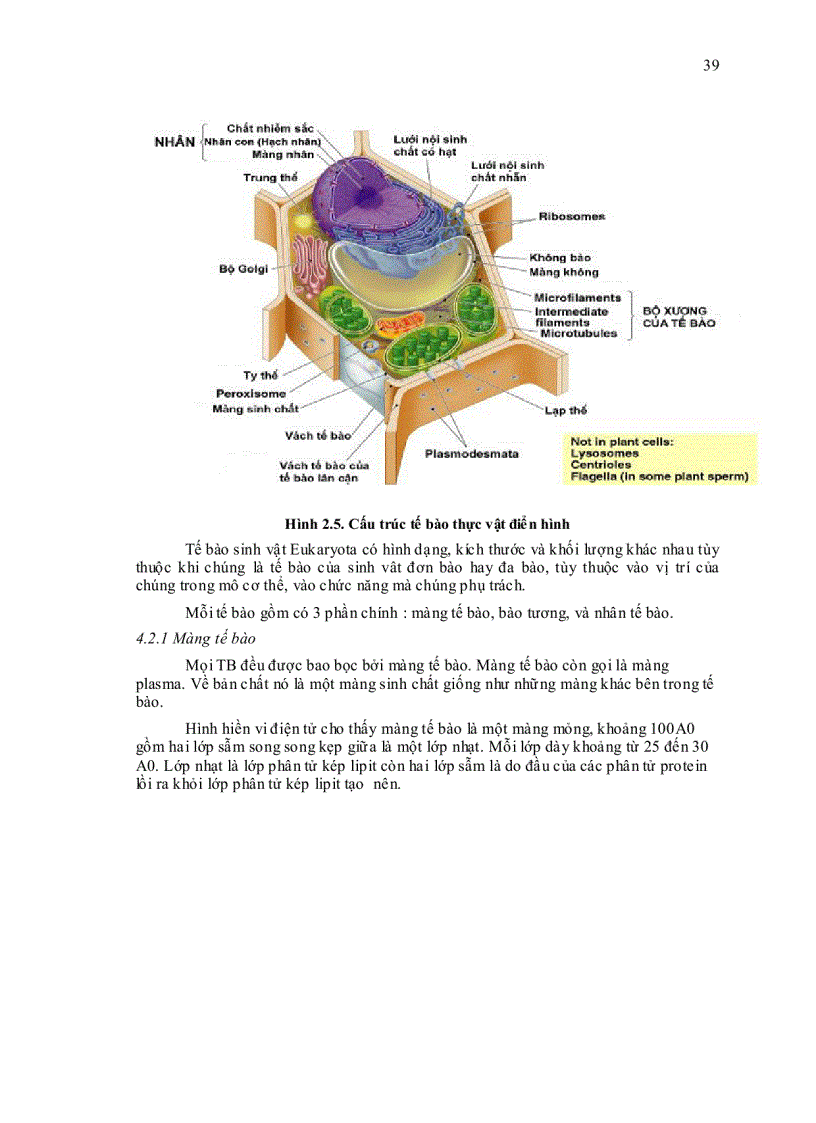 image for page Sinh học đại cương