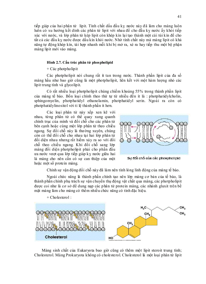 image for page Sinh học đại cương