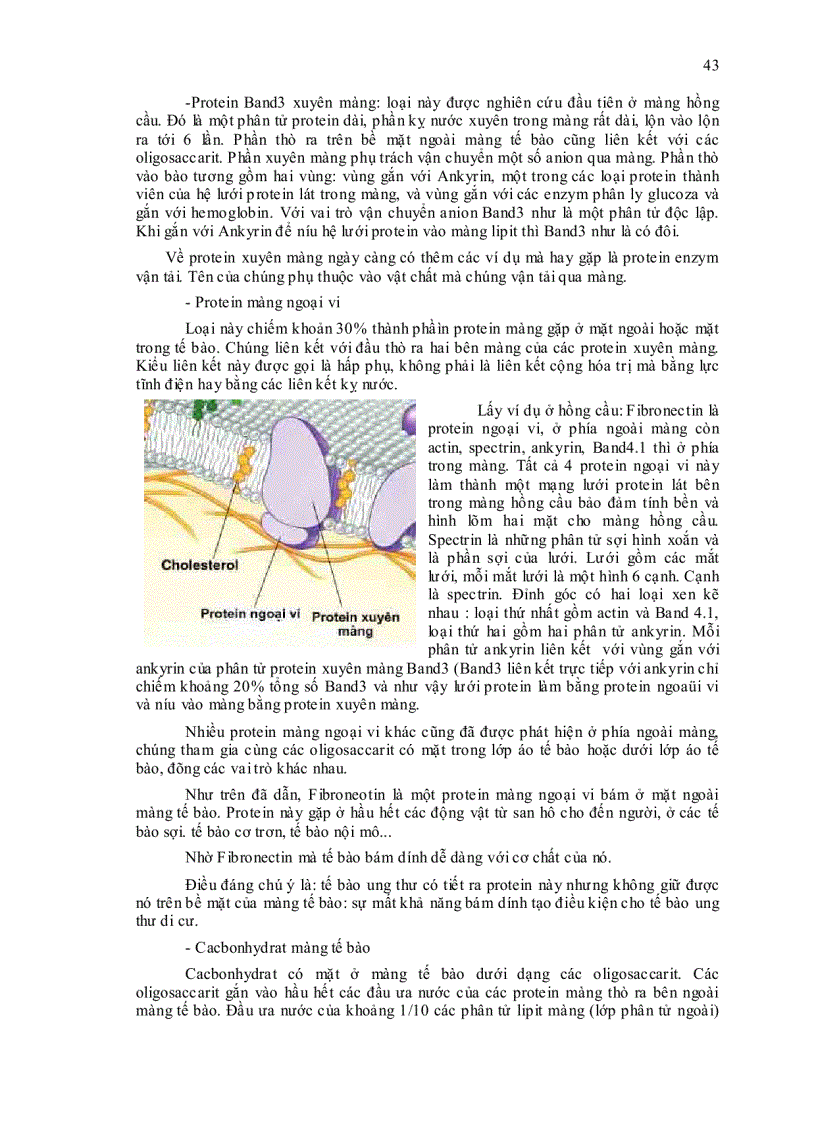 image for page Sinh học đại cương