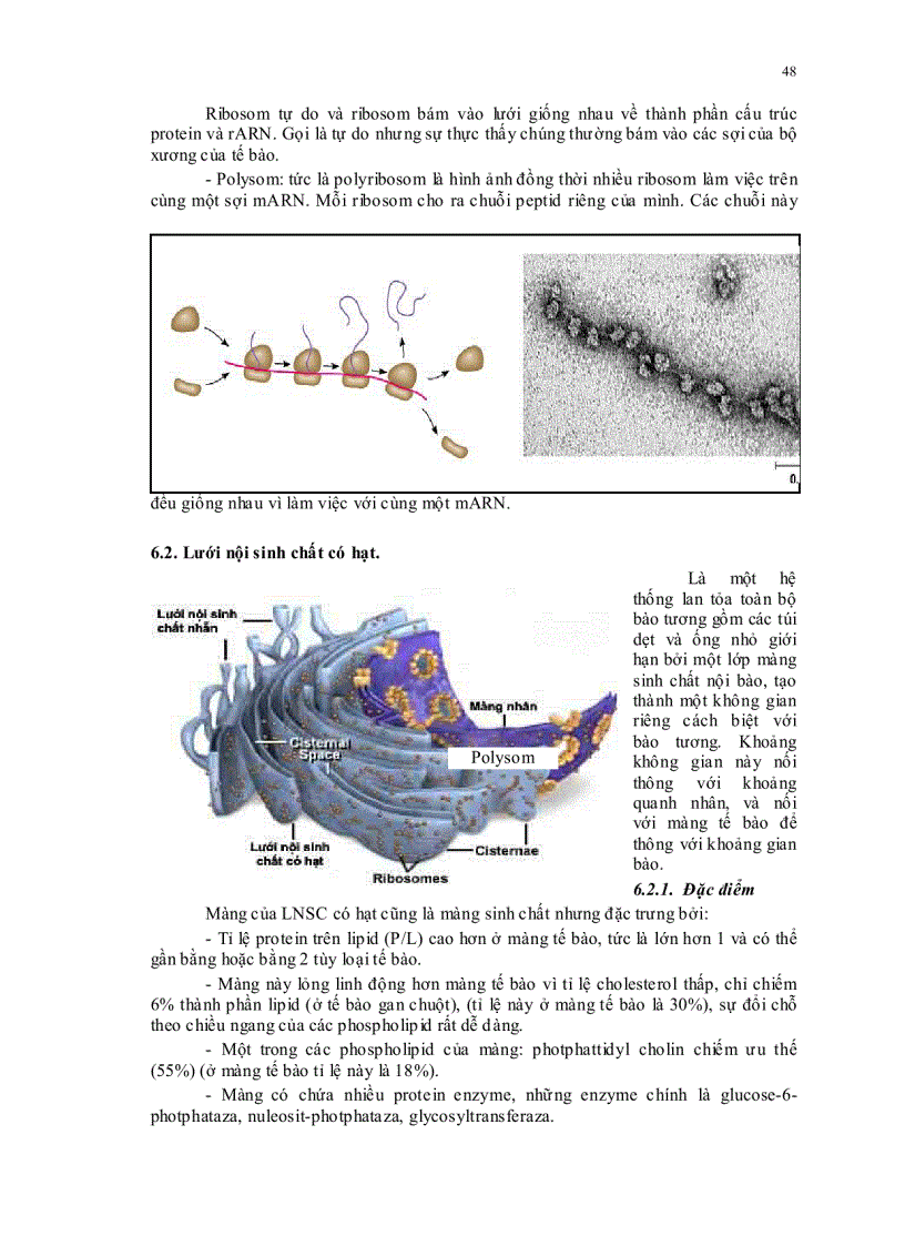image for page Sinh học đại cương
