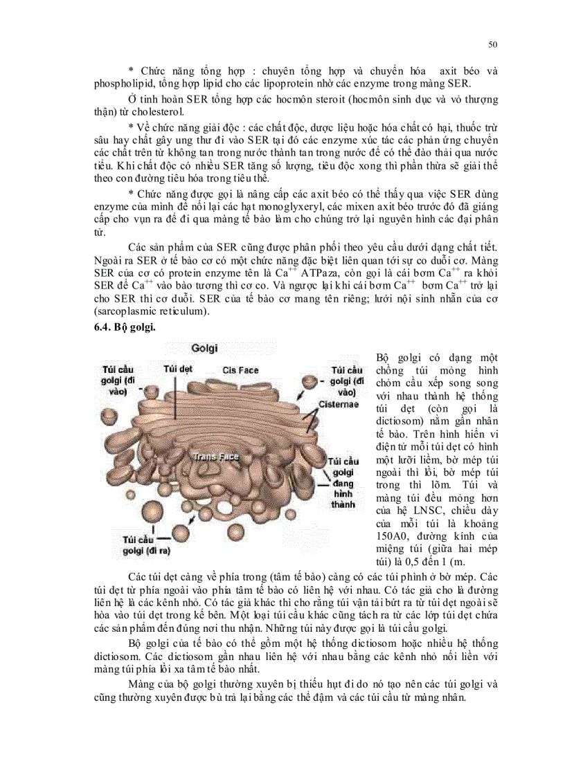 image for page Sinh học đại cương