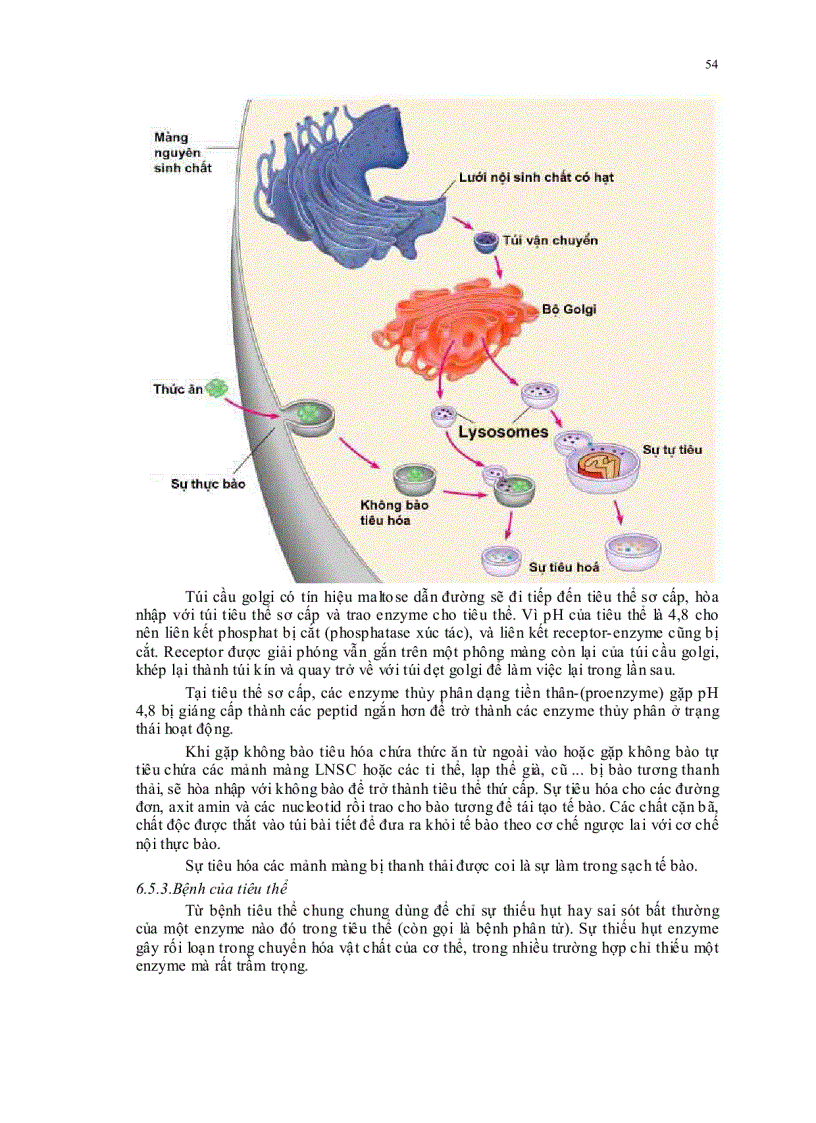 image for page Sinh học đại cương