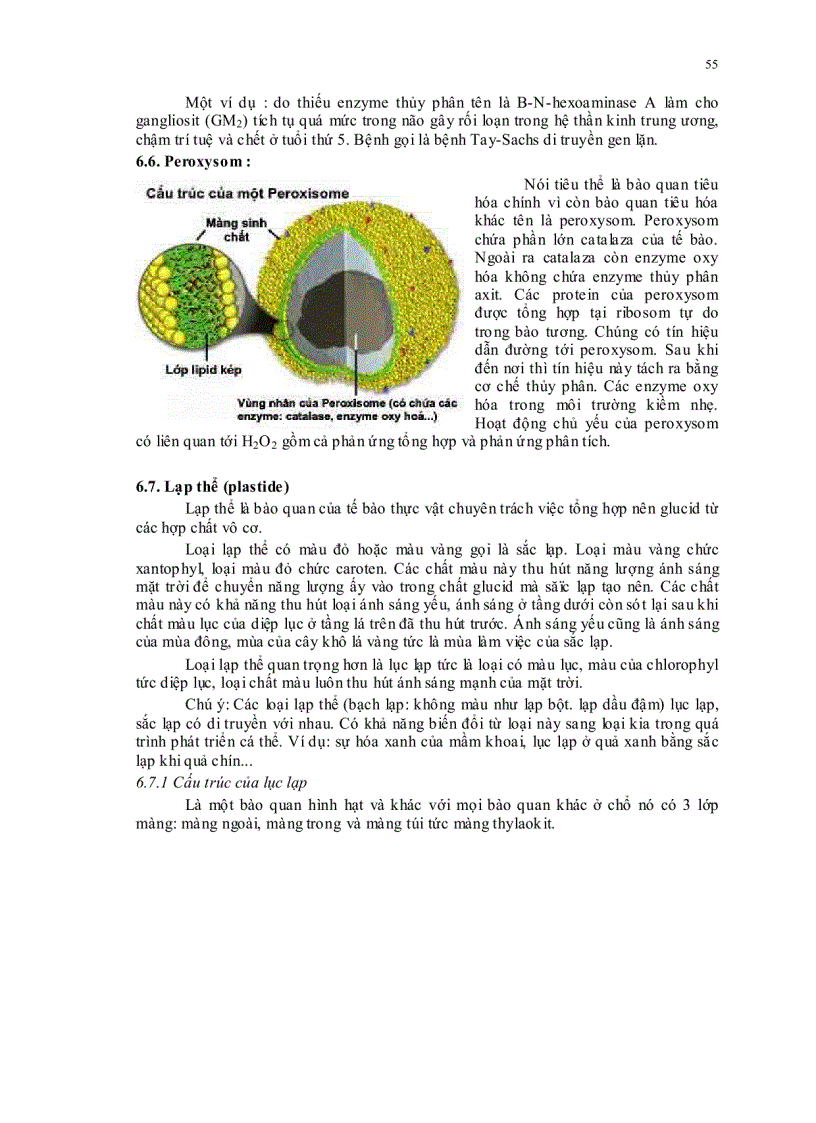 image for page Sinh học đại cương