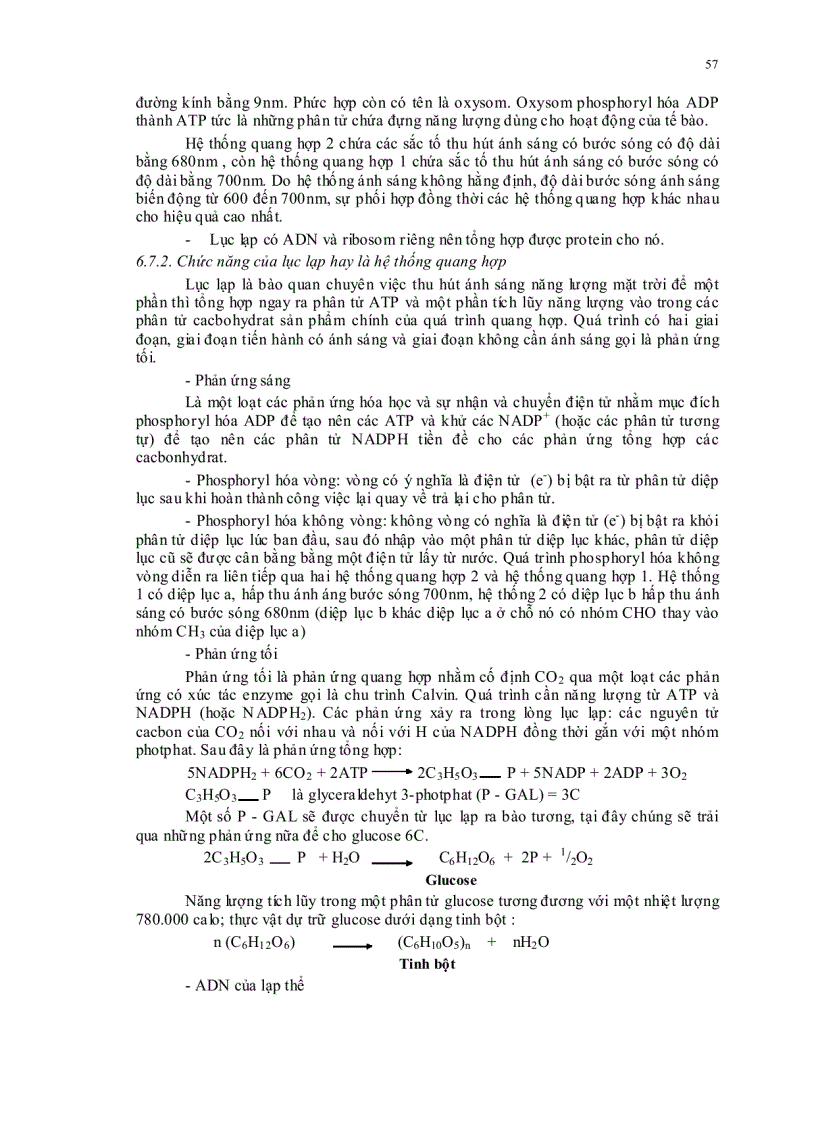 image for page Sinh học đại cương