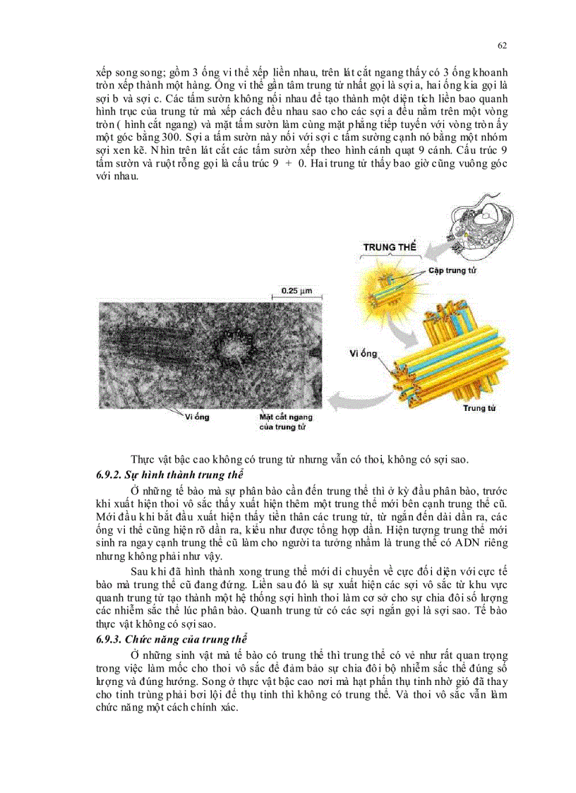 image for page Sinh học đại cương