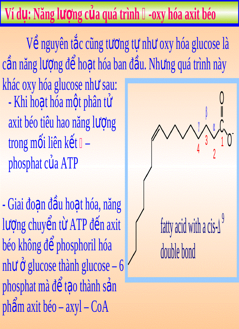 image for page NĂNG LƯỢNG SINH HỌC Lipid Metabolism TRAO ĐỔI LIPID