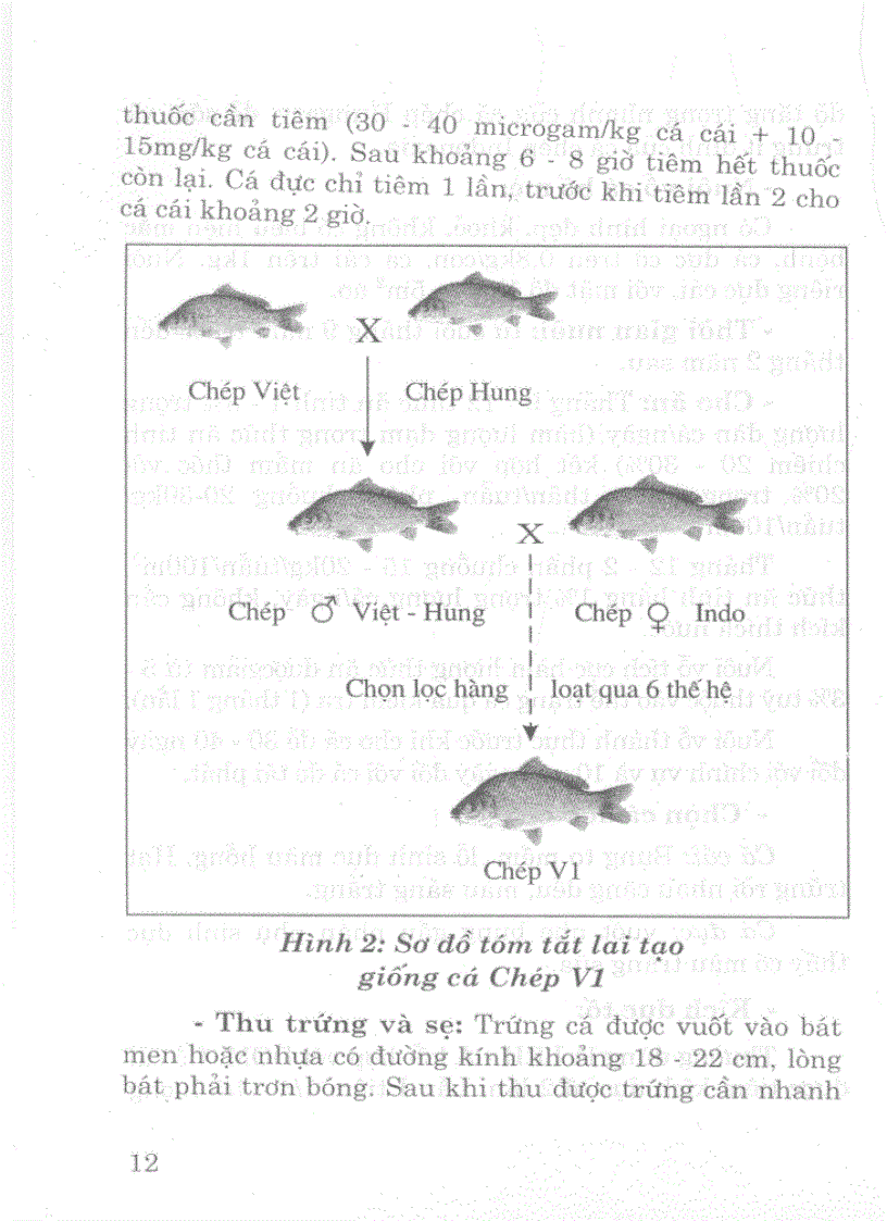 image for page Kĩ thuật mới Nuôi thủy đặc sản nước ngọt
