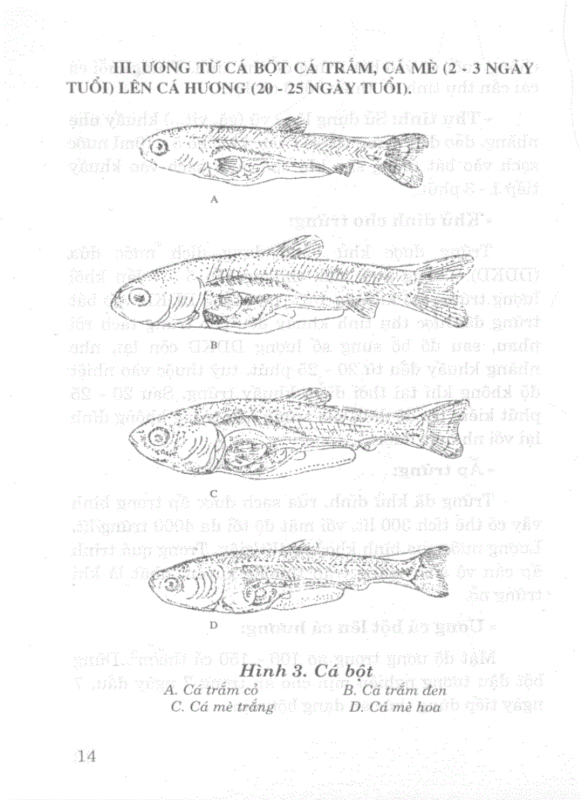 image for page Kĩ thuật mới Nuôi thủy đặc sản nước ngọt