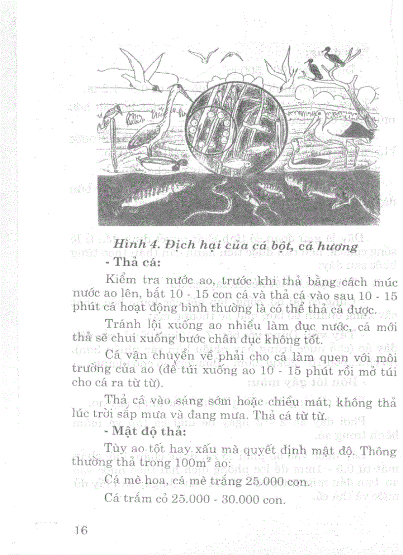 image for page Kĩ thuật mới Nuôi thủy đặc sản nước ngọt