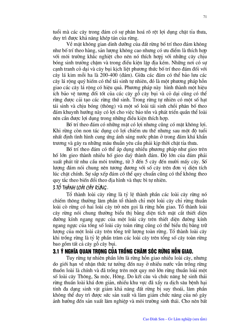 image for page Ý nghĩa quan trọng của trồng chăm sóc rừng hỗn giao