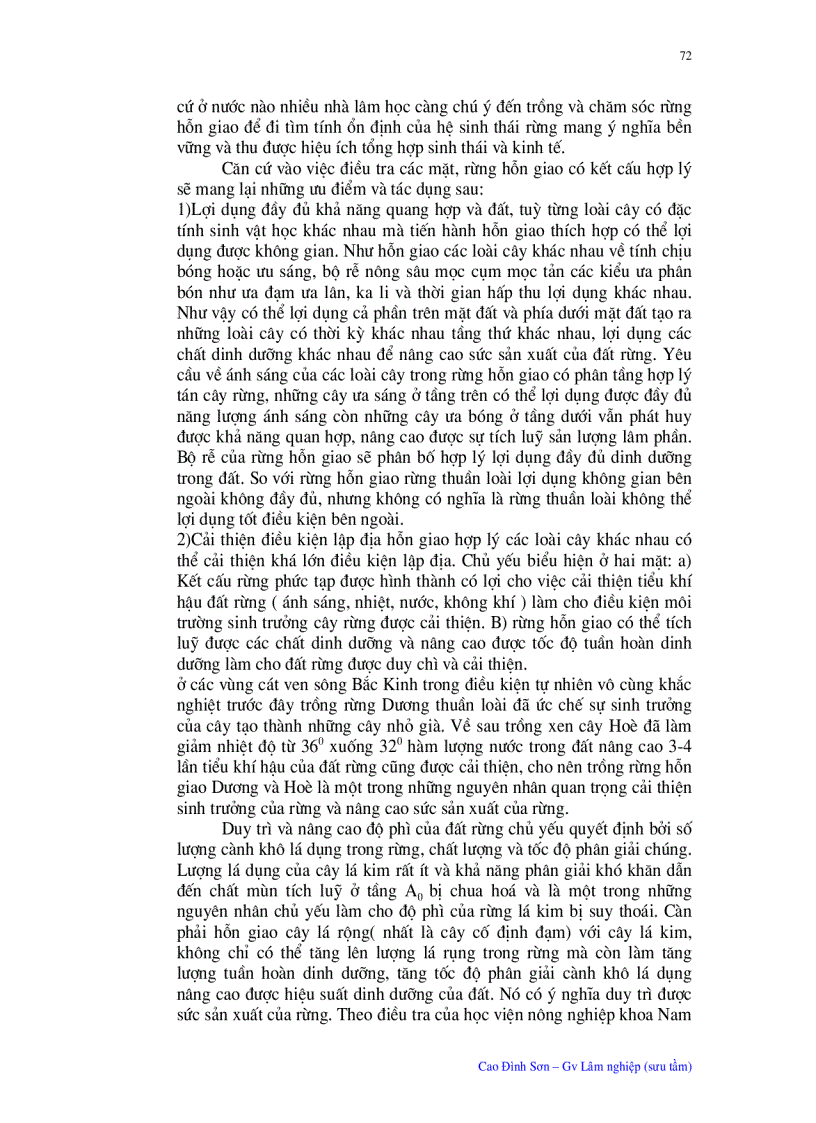 image for page Ý nghĩa quan trọng của trồng chăm sóc rừng hỗn giao