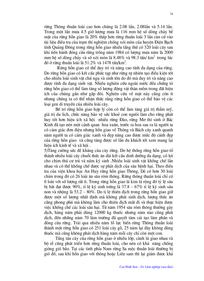 image for page Ý nghĩa quan trọng của trồng chăm sóc rừng hỗn giao