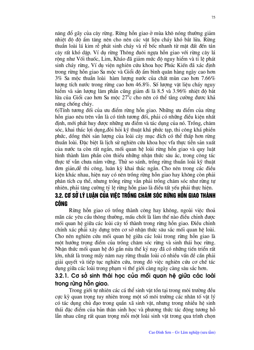 image for page Ý nghĩa quan trọng của trồng chăm sóc rừng hỗn giao