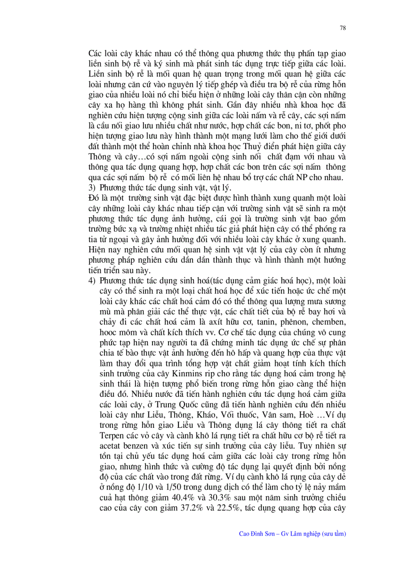 image for page Ý nghĩa quan trọng của trồng chăm sóc rừng hỗn giao