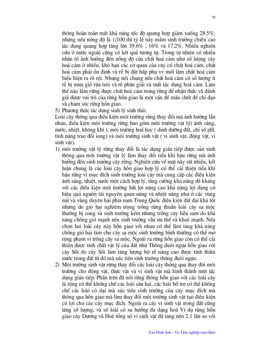 image for page Ý nghĩa quan trọng của trồng chăm sóc rừng hỗn giao