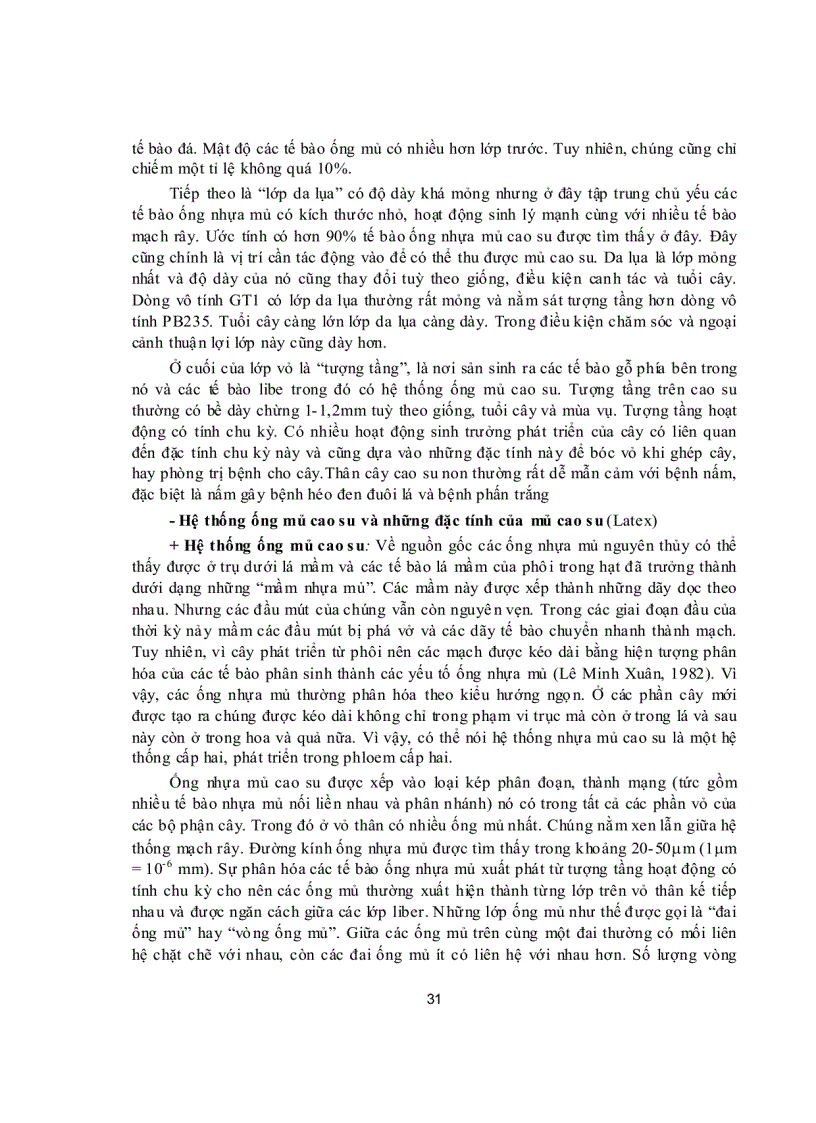 image for page Đặc điểm thực vật học và đặc tính sinh học cây cao su