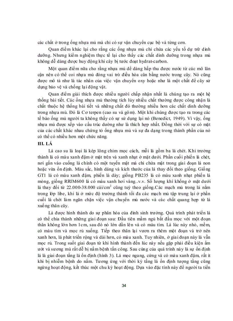 image for page Đặc điểm thực vật học và đặc tính sinh học cây cao su