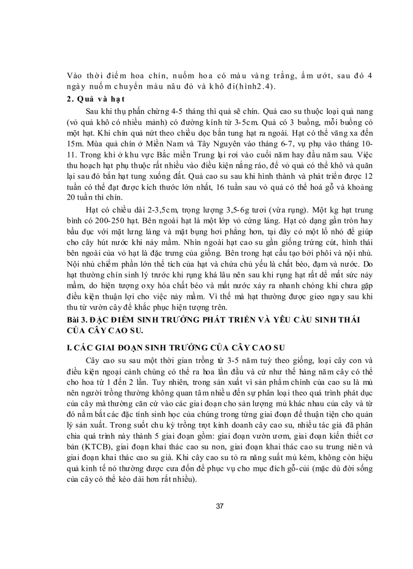 image for page Đặc điểm thực vật học và đặc tính sinh học cây cao su