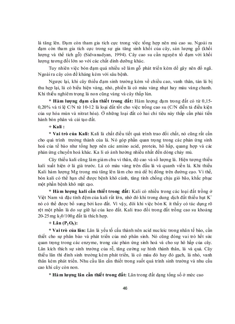 image for page Đặc điểm sinh trưởng phát triển và yêu cầu sinh thái của cây cao su