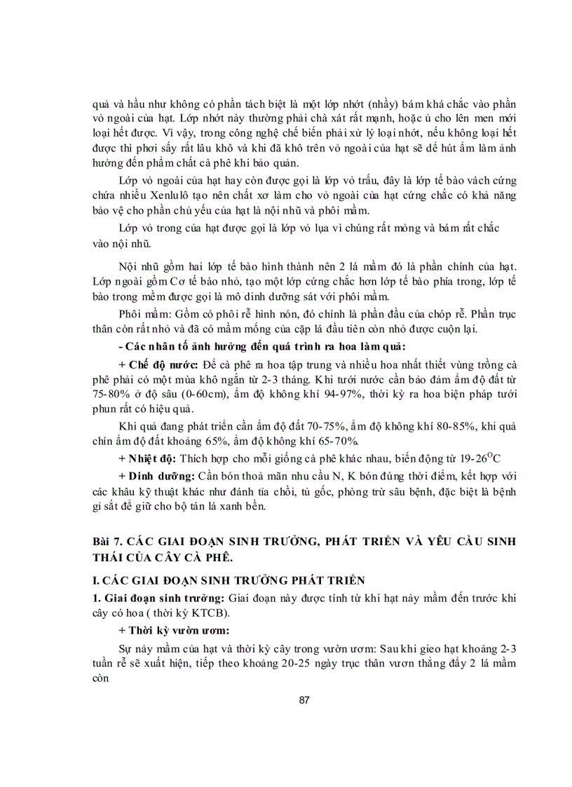 image for page Các giai đoạn sinh trưởng phát triển và yêu cầu sinh thái của cây cà phê