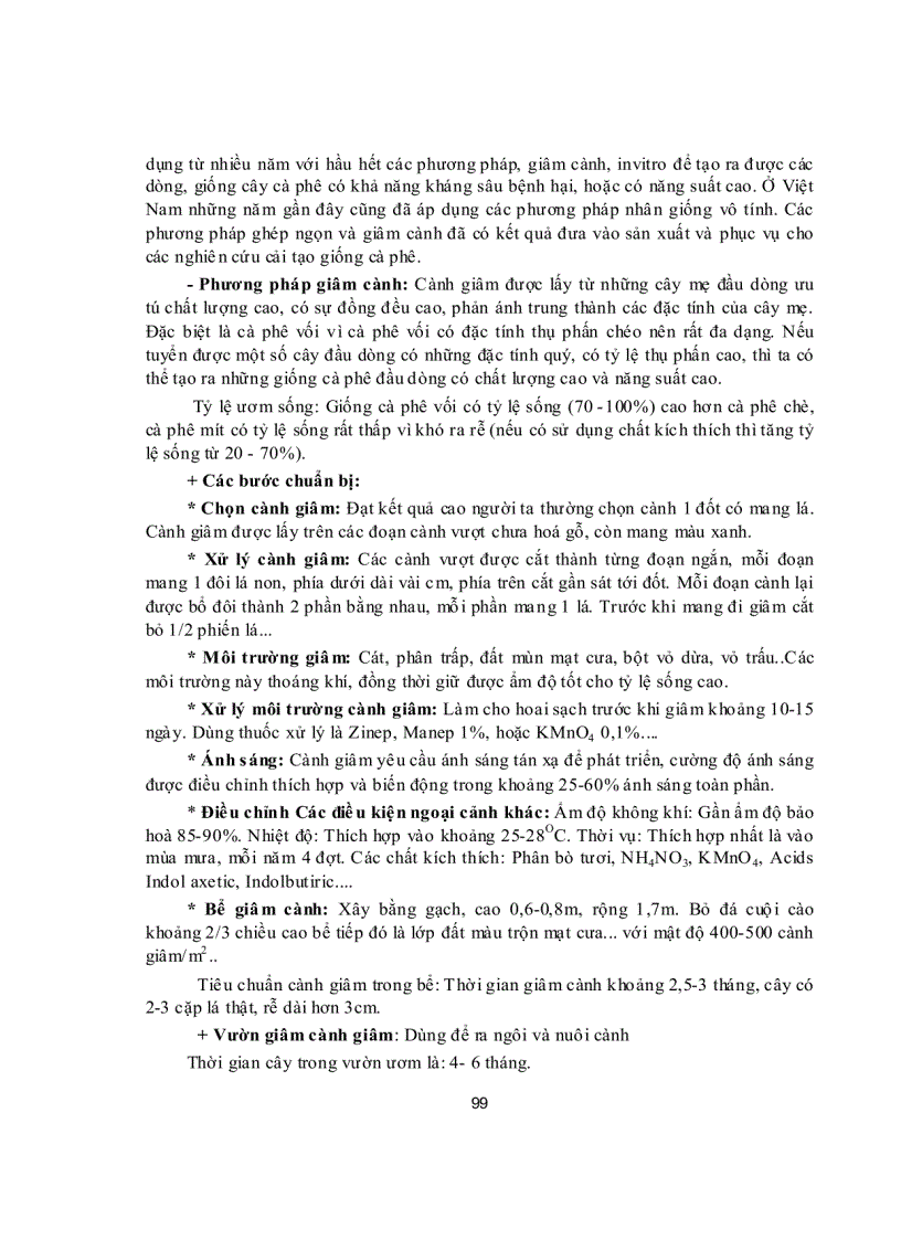 image for page Các giai đoạn sinh trưởng phát triển và yêu cầu sinh thái của cây cà phê