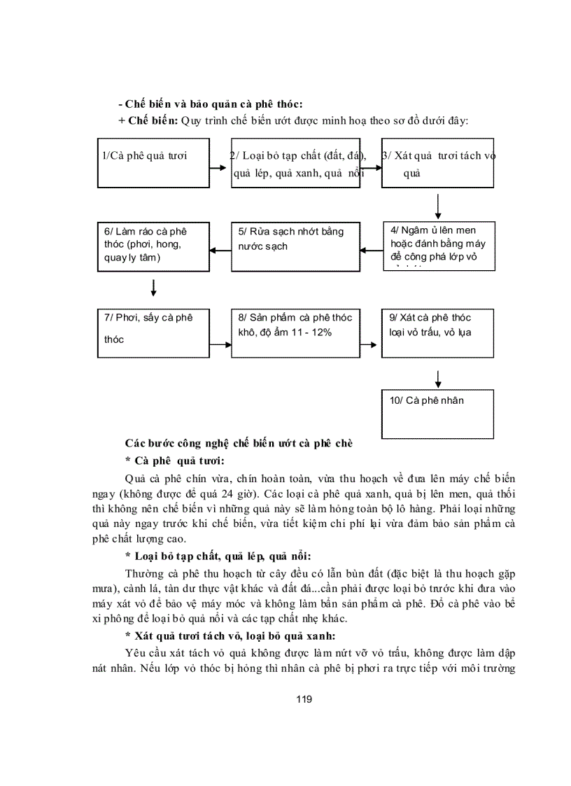 Thu hoạch và sơ chế cà phê