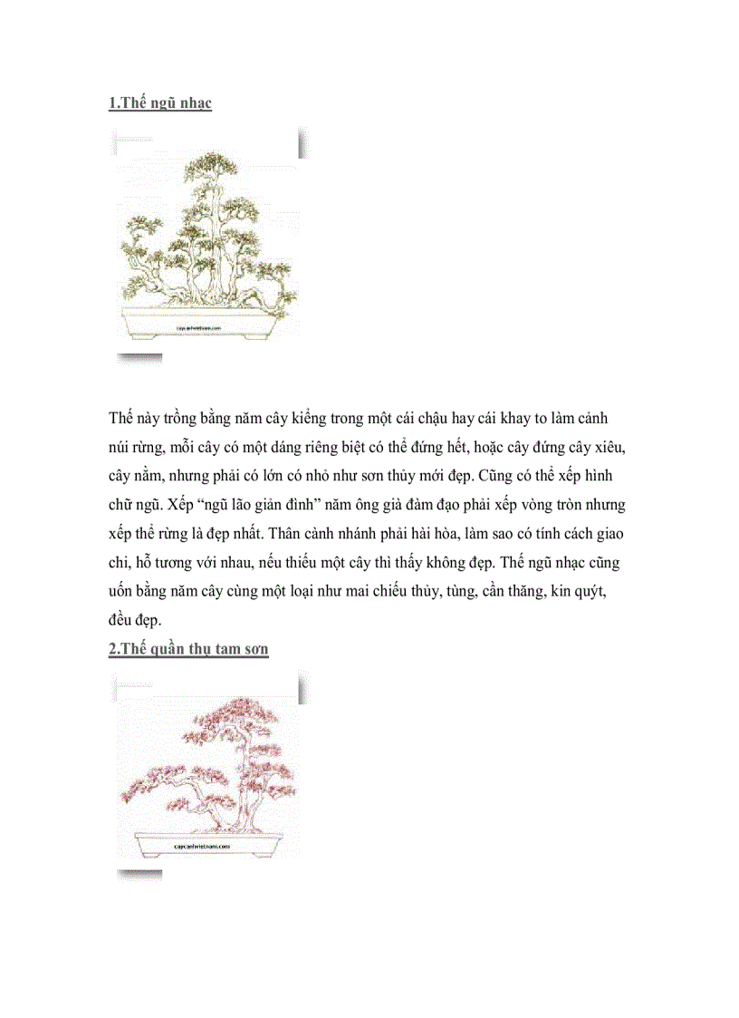 image for page Cây thế