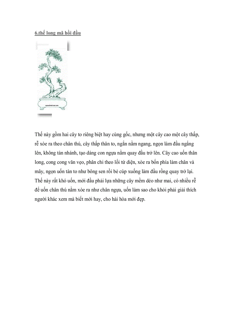 image for page Cây thế