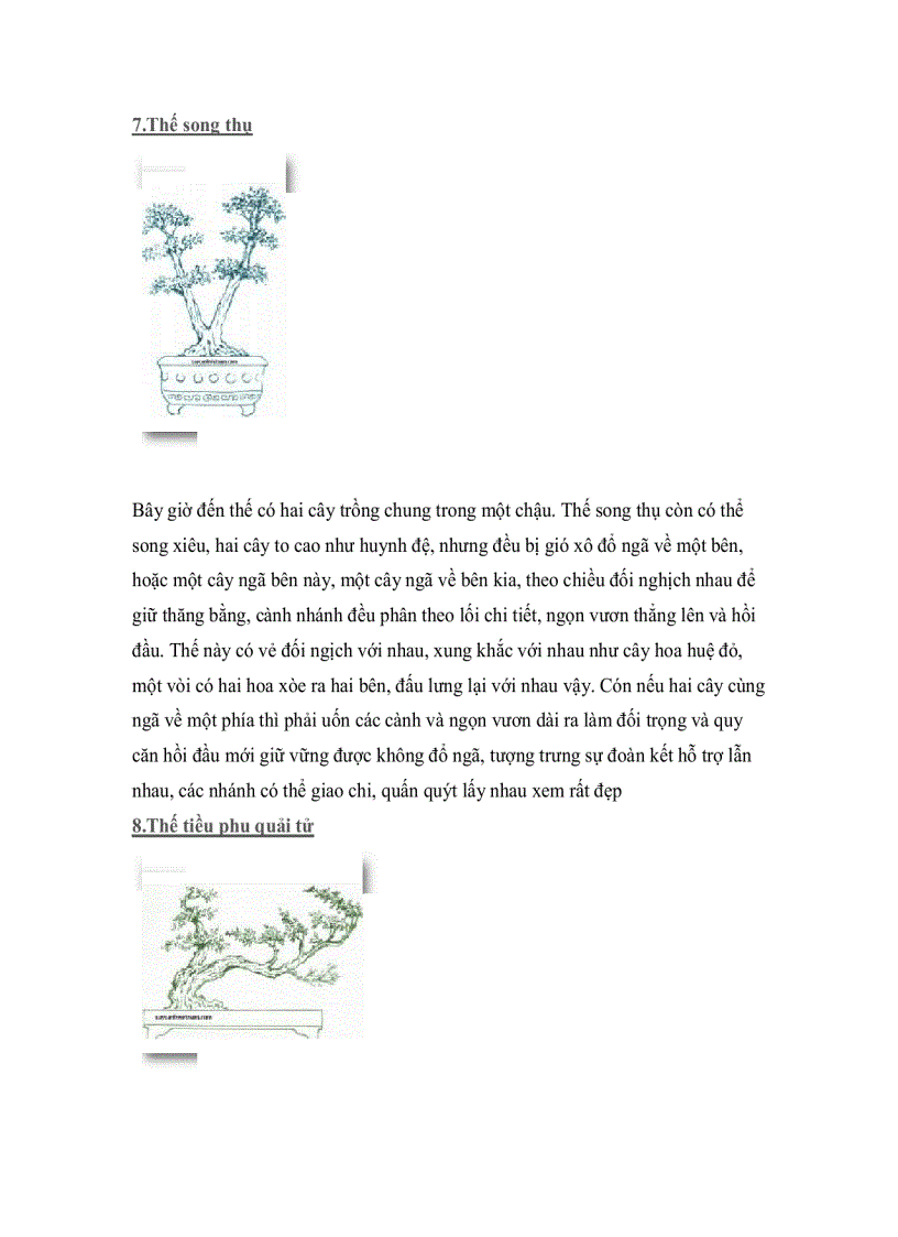 image for page Cây thế