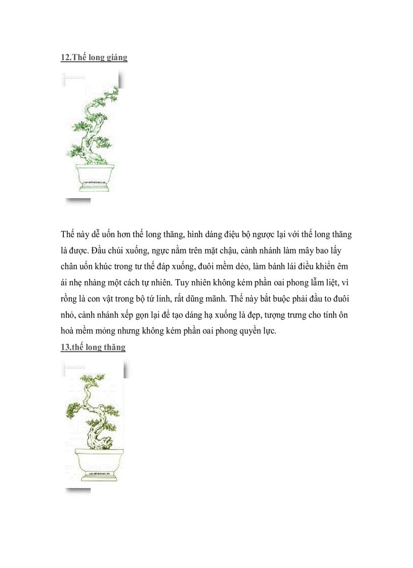 image for page Cây thế